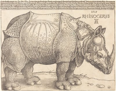 De neushoorn, 1515 door Albrecht Dürer