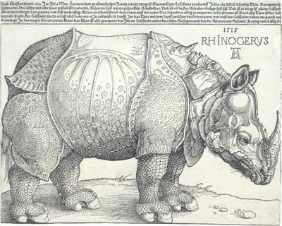 De neushoorn, 1515 door Albrecht Dürer