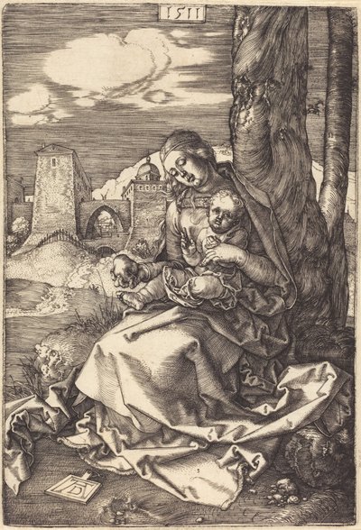  door Albrecht Dürer