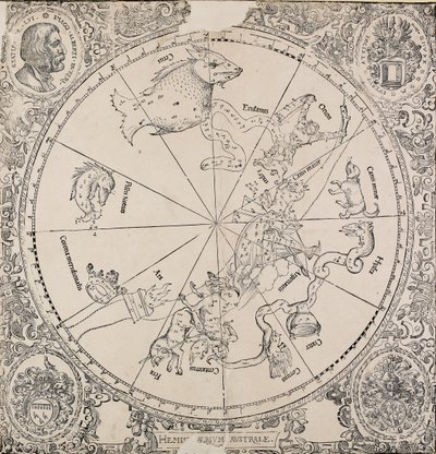 De hemelse kaart van het zuidelijk halfrond door Albrecht Dürer