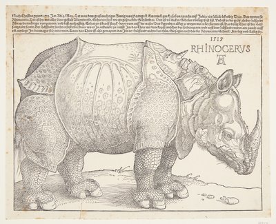 De neushoorn door Albrecht Dürer