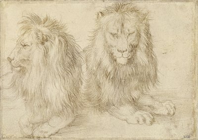 Twee zittende leeuwen door Albrecht Dürer