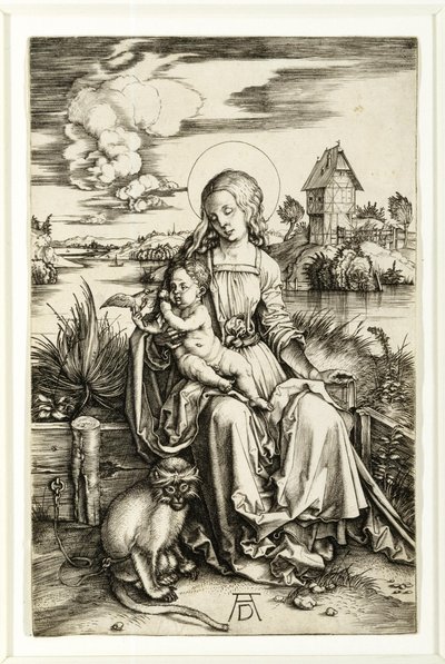 Maagd en kind met de aap door Albrecht Dürer