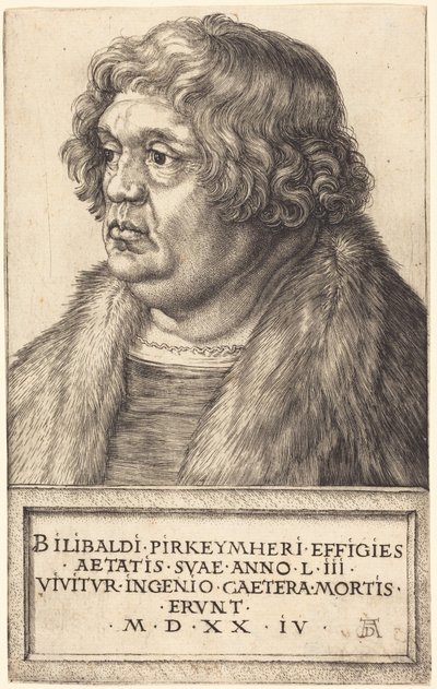  door Albrecht Dürer