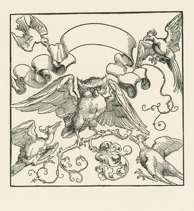Een uil aangevallen door vier andere vogels, c.1515 (houtsnede) door Albrecht Dürer or Duerer