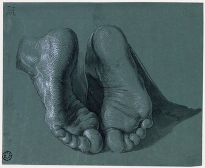 Studie van twee voeten - Tekening door Albrecht Dürer (1471-1528), Waterverf, witte kleur, zwart krijt op papier, ca 1508 (17,6x21,6cm) - Museum Boijmans Van Beuningen, Rotterdam door Albrecht Dürer