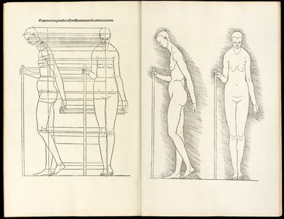Vrouw met staf, anatomische houtsnede uit Hierinn sind begriffen vier bücher von menschlicher Proportion, 1528 door Albrecht Dürer