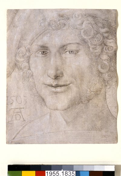 Hoofd van een Jonge Man door Albrecht Dürer