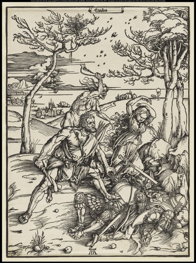  door Albrecht Dürer or Duerer