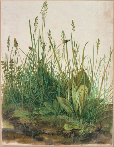 Large clump of turf - Das grosse Rasenstueck door Albrecht Dürer or Duerer