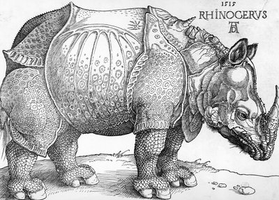 Neushoorn door Albrecht Dürer