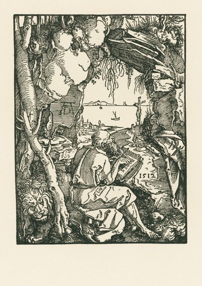 Hiëronymus in de grot door Albrecht Dürer or Duerer