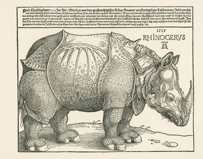 De neushoorn door Albrecht Dürer or Duerer