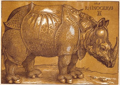 De neushoorn door Albrecht Dürer or Duerer