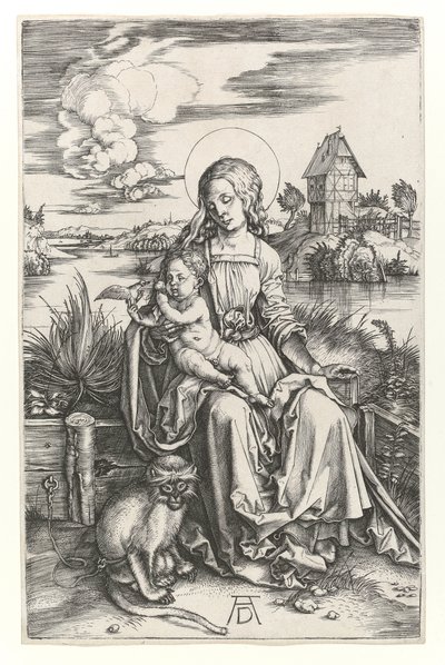 De Maagd met de aap, c.1498 door Albrecht Dürer