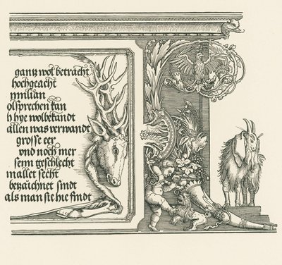 Triomfboog voor keizer Maximiliaan I door Albrecht Dürer or Duerer