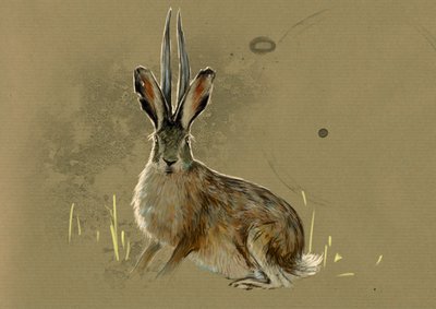 Fantastische monsters en wezens, cryptozoologie: voorstelling van een Jackalope, legendarisch dier half haas half antilope - Tekening door Alessandro Lonati, 2012 door Alessandro Lonati