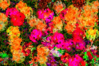Grasveld door Alex Caminker
