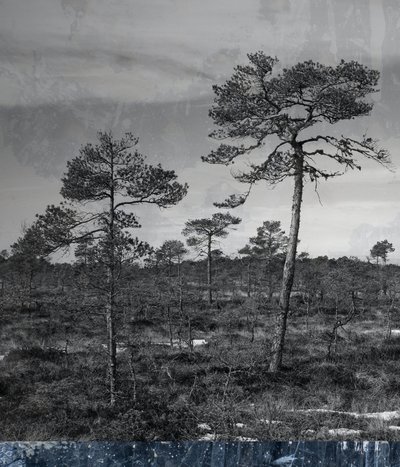 blauwe ondergrond door Alex Caminker