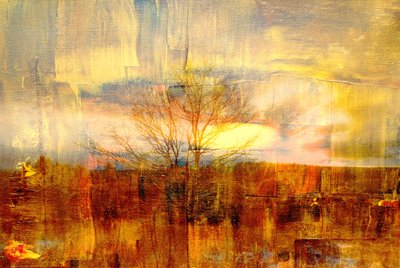 Gouden mist door Alex Caminker
