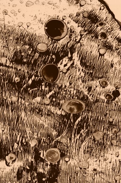 Zuurstof door Alexander Adiels