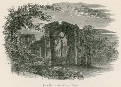 Netley Abbey, oostkant, vanaf het huis van de abt door Alexander Francis Lydon