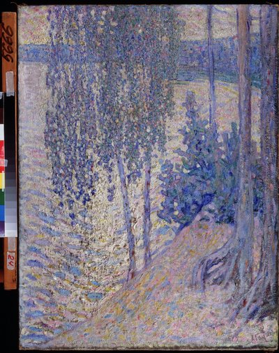 De berken door Alexander Gaush
