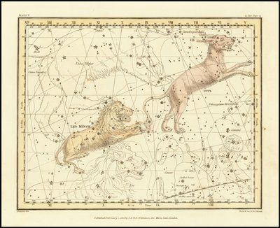 1822 - Alexander Jamieson - Lynx  Leo Minor door Alexander Jamieson