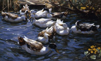 Eenden in het Riet onder de Takken door Alexander Koester