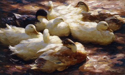 Eenden aan de rivier door Alexander Koester