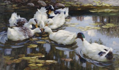 De Eendenvijver door Alexander Koester