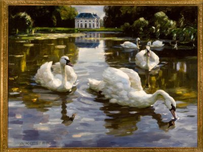 Zwanen in Nymphenburg door Alexander Köster
