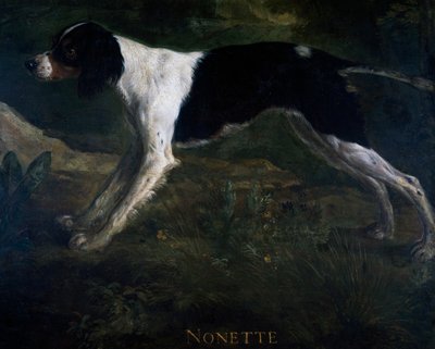 Nonette, geschilderd over koninklijke antichambre deur voor kasteel van Marly door Alexandre-Francois Desportes door Alexandre Francois Desportes