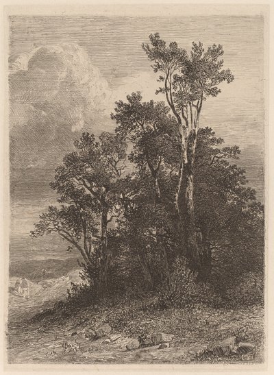 Boomgroep door Alexandre Calame