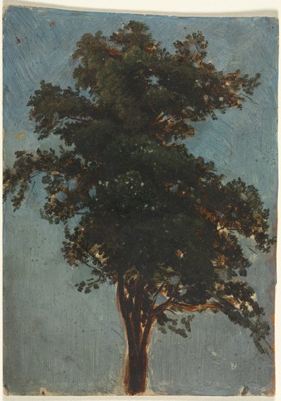 Boomstudie, tweede derde 19e eeuw door Alexandre Calame