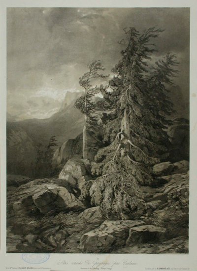 Zonder titel door Alexandre Calame