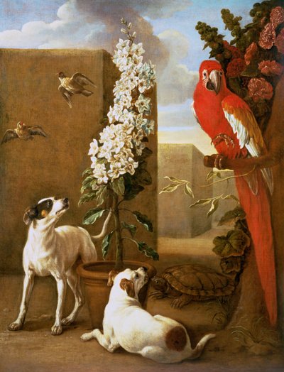 Papegaai met Honden door Alexandre Francois Desportes