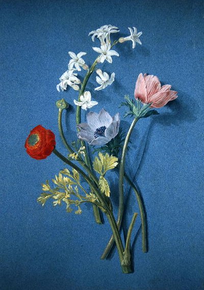 Ranonkels, anemonen en jasmijn door Alexis Nicolas Perignon