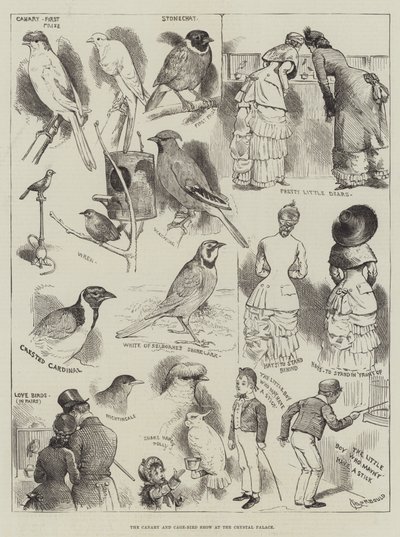 De Kanarie- en Kooi-Vogelshow in het Crystal Palace door Alfred Courbould