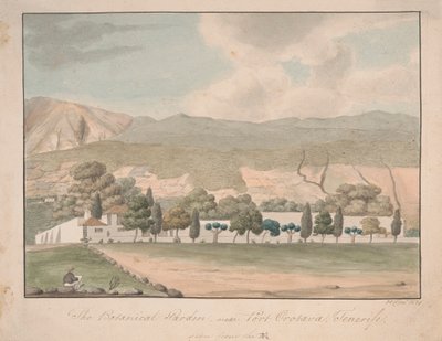 De botanische tuin bij Port Orotava, Tenerife door Alfred Diston