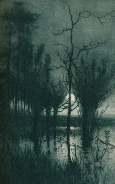 De Stille Maan door Alfred East