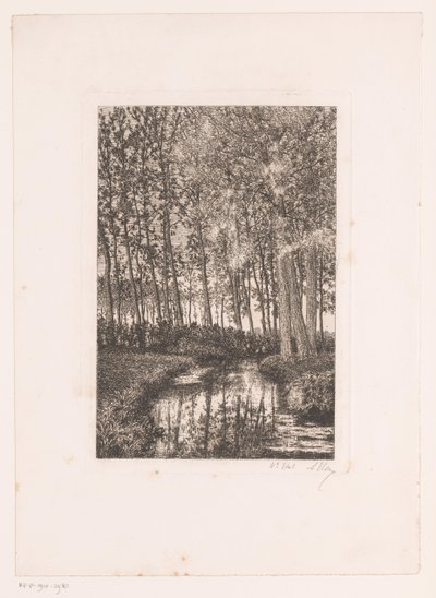 Hoge bomen aan het water door Alfred Elsen (signed by artist)