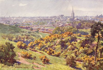 Norwich vanaf Mousehold Heath, Norfolk door Alfred Heaton Cooper