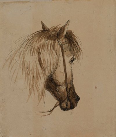 Paardenkop door Alfred Jacob Miller