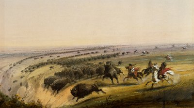 Jacht op buffels door Alfred Jacob Miller