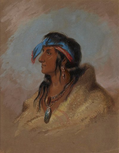 White Plume door Alfred Jacob Miller