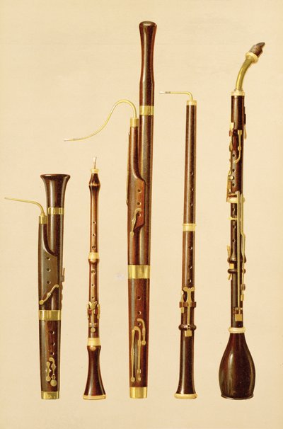 Een dulciaan, een hobo, een fagot, een oboe da caccia en een basset hoorn, uit 