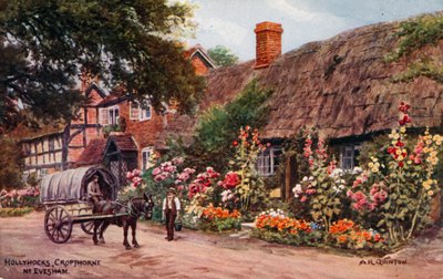Stokrozen, Cropthorne, Evesham door Alfred Robert Quinton