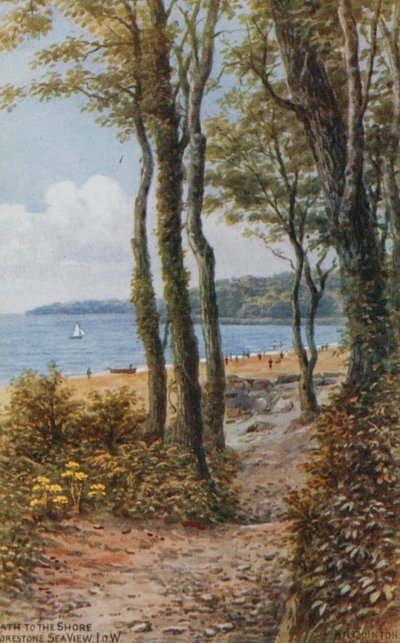 Pad naar de kust, zeezicht, Isle of Wight door Alfred Robert Quinton