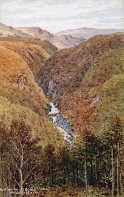 Rheidol Vallei, Duivelsbrug, nabij Aberystwyth door Alfred Robert Quinton